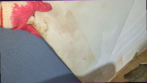 송파구 누수탐지 배관 점검 결과를 기록하고 보수 범위를 확인하는 모습