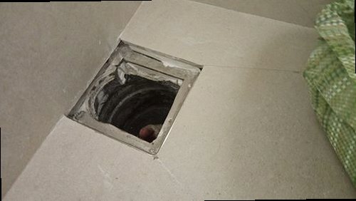서대문구 재점검 기록 서대문구 재점검 기록
