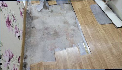 서대문구 누수탐지 천장 누수 흔적과 점검 위치를 확인하는 모습