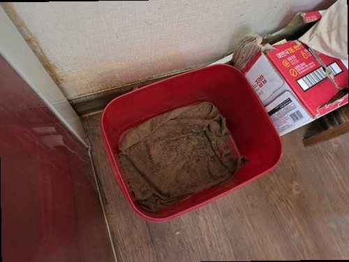 시흥 재점검 기록