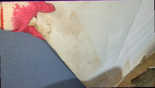 누수탐지 벽지 변색 범위와 습기 확산 방향을 확인하는 점검 모습