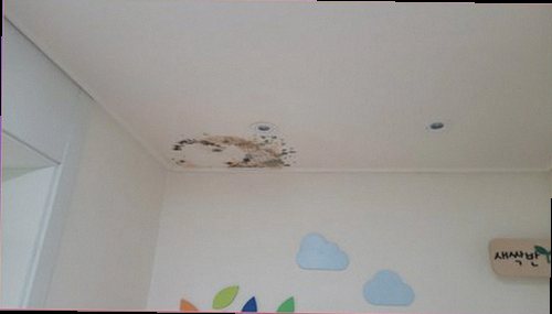 누수탐지 배관 주변 습기와 누수 흔적을 확인하는 모습