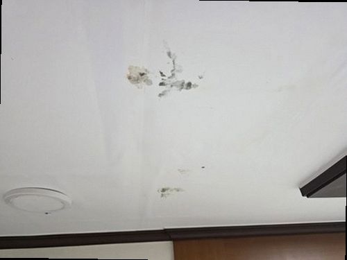 덕양구 누수탐지 화전동 단독주택 2층 창가 시공 후기 사진