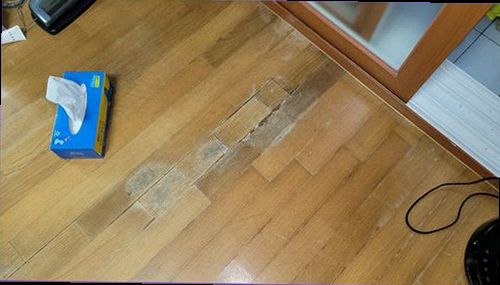 덕양구 누수탐지 벽지 변색과 벽면 하단의 습기 흔적을 확인하는 현장