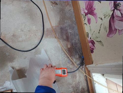 분당구 누수탐지 천장 얼룩과 물자국의 발생 범위를 확인하는 모습
