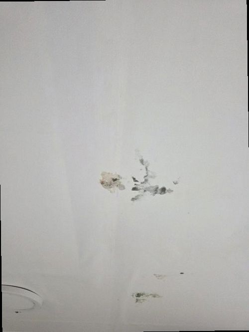 상록구 근거 설명