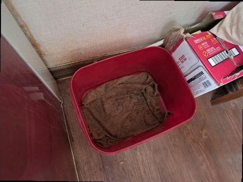 만안구 누수탐지 박달동 오피스텔 6층 화장실과 거실 벽 시공 후기 사진