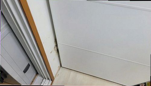 처인구 누수탐지 벽면 얼룩과 습기 흔적을 확인하는 모습