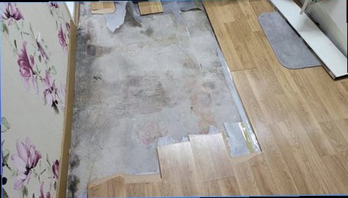 동탄구 누수탐지 보일러 주변 압력계와 난방 배관 상태를 확인하는 현장