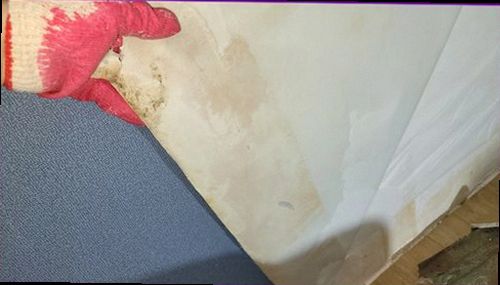 미추홀구 누수탐지 배관 압력과 열 분포를 확인하는 전문 점검 장비