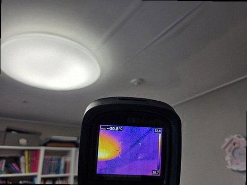 아산시 재점검 기록 아산시 재점검 기록