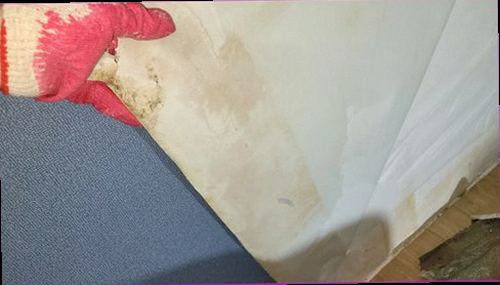 강남구 누수탐지 벽면 변색과 배관 주변의 누수 흔적을 확인하는 모습