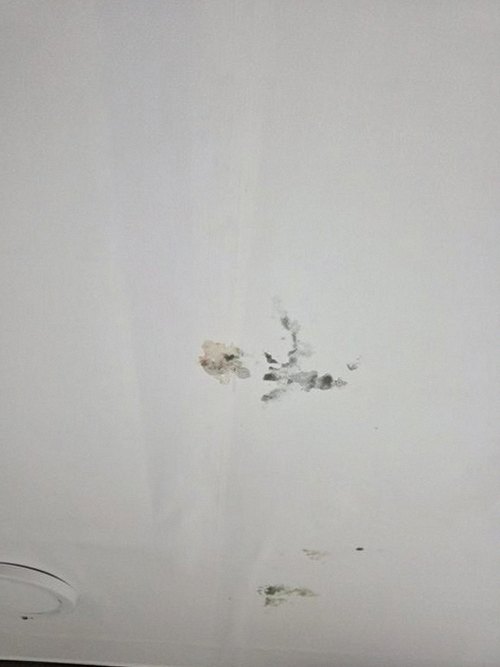 누수탐지 돈암동 누수탐지 아파트 안방 천장 얼룩 원인 찾아 해결까지