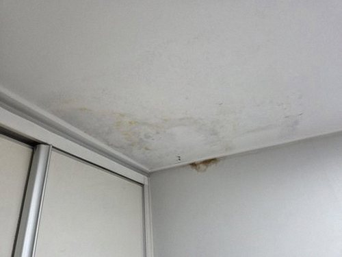 누수탐지 별양동 누수탐지 아파트 아랫집 천장 얼룩 직접 살펴보니