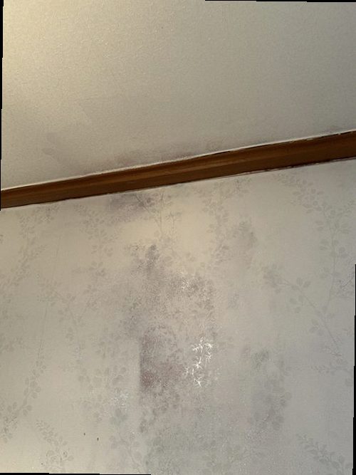 오산 누수탐지 천장 누수