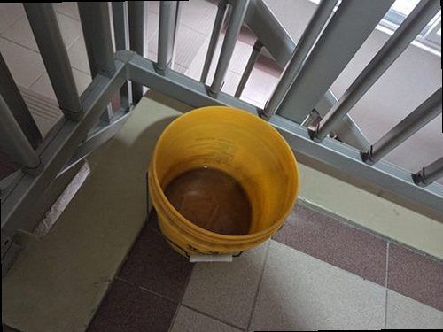 누수탐지 안암동3가 누수탐지 베란다탄성코트곰팡이 발생 원인부터 올바른 관리법까지