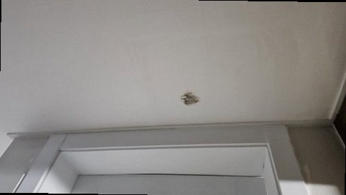 양주 현장 진단 양주 현장 진단
