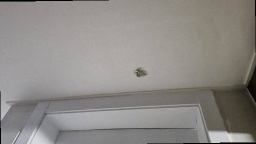 여주 누수탐지 북내면 전원주택 1층 세탁실 시공 후기 사진