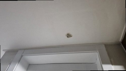 동탄구 현장 진단 동탄구 현장 진단