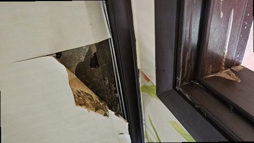 천안시 동남구 현장 진단 천안시 동남구 현장 진단
