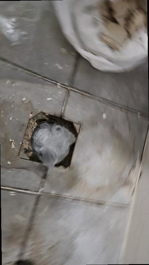 노원구 현장 확인