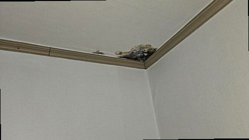 양천구 누수탐지 목동 오피스텔 7층 세탁실 시공 후기 사진