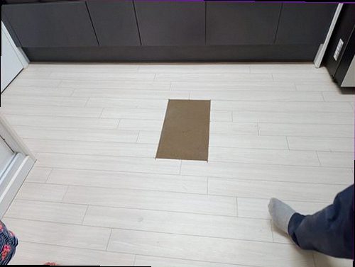 동대문구 누수탐지 천장 얼룩과 벽면 습기 흔적을 확인하는 현장