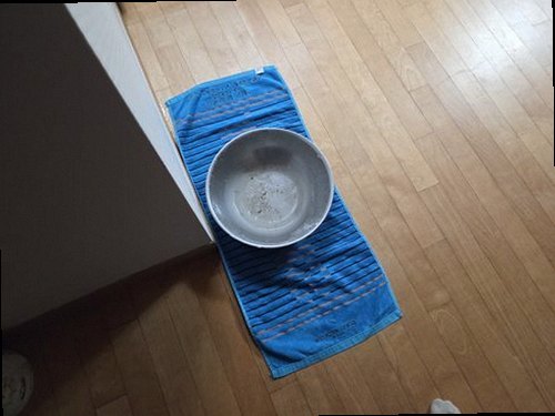 서대문구 현장 확인