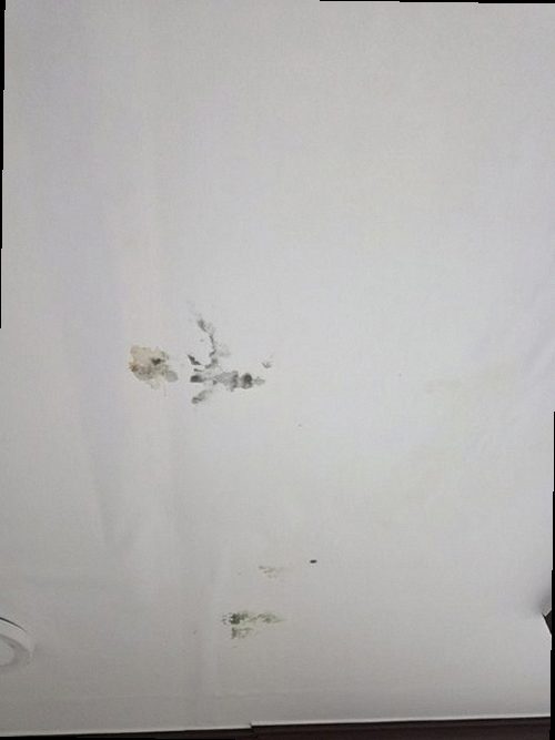 과천 현장 확인