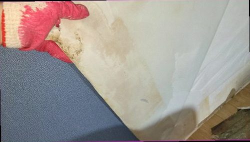 안성 누수탐지 욕실 바닥과 벽면의 누수 흔적을 확인하는 모습