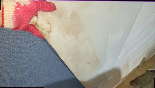 양주 누수탐지 천장과 벽면의 누수 흔적을 확인하는 모습