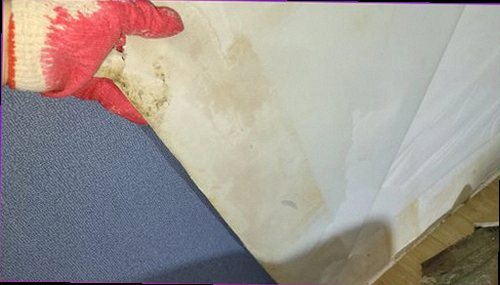 평택 누수탐지 벽면 얼룩과 천장 변색을 확인하는 누수 점검 현장