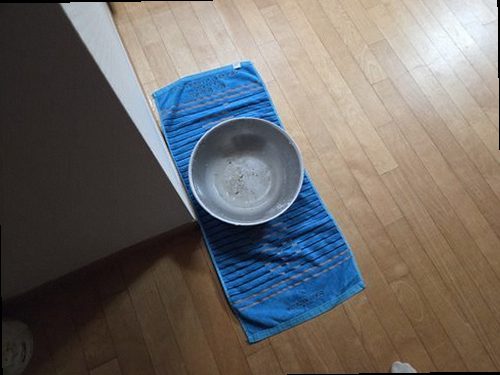 포천 누수탐지 영북면 아파트 5층 거실 외벽 쪽 시공 후기 사진