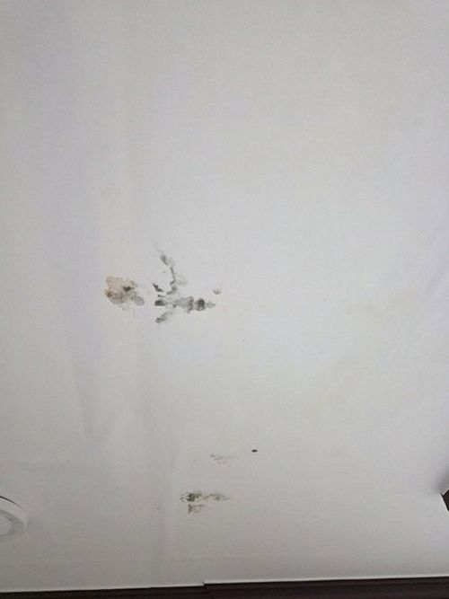 누수탐지 감북동 누수탐지 빠른 처리로 아파트 안방 천장 얼룩 점검