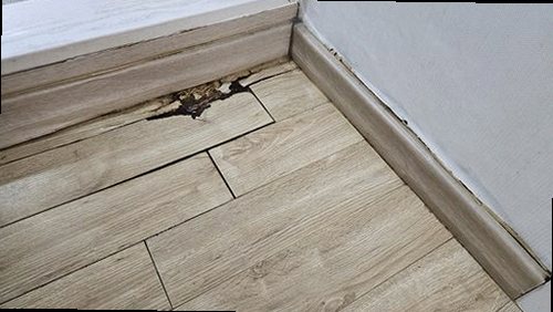 원미구 현장 확인
