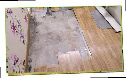 동안구 누수탐지 누수 흔적과 배관 주변 상태를 확인하는 현장 점검
