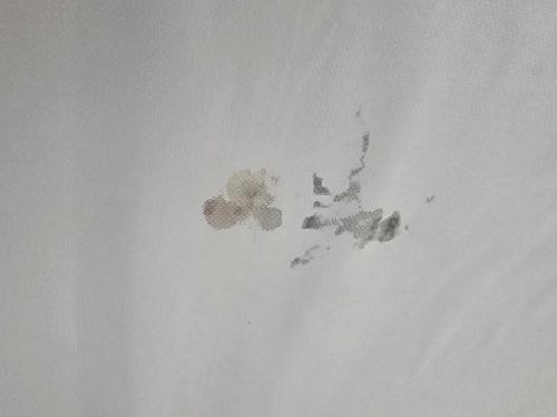 누수탐지 송산동 누수탐지 3단계로 위층 베란다 누수 원인 가려내기