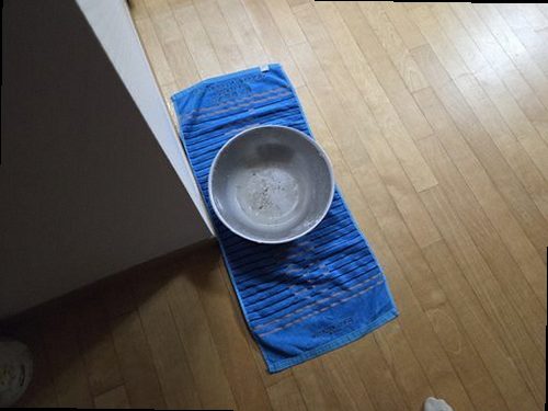 병점구 누수탐지 병점동 아파트 7층 거실 바닥 시공 후기 사진