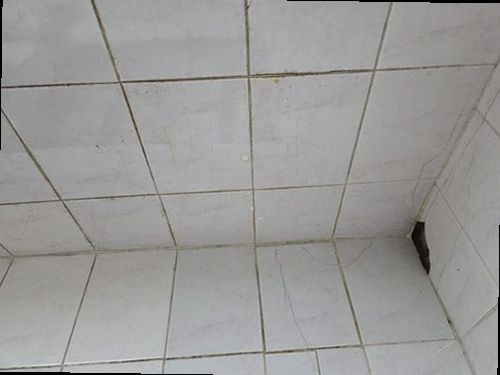 화장실·욕실 누수 옹진군 누수탐지 화장실·욕실 누수