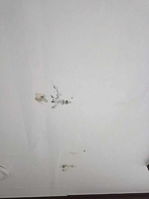 누수탐지 풍세면 누수탐지 안방 천장 얼룩 원인을 단계별로 좁히는 순서