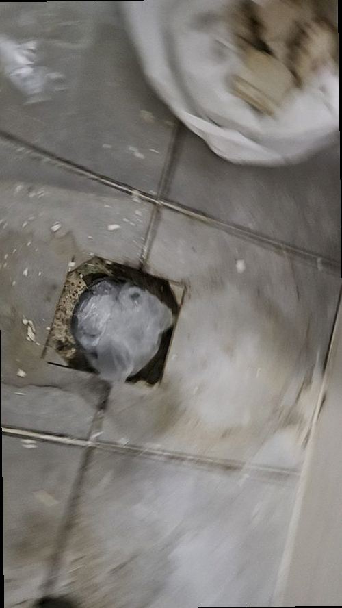 화장실·욕실 누수 천안시 서북구 누수탐지 화장실·욕실 누수