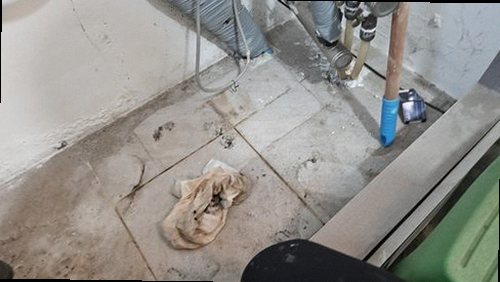 누수탐지 점검 결과를 벽면과 대조하는 장면