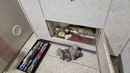 누수탐지 당동 누수탐지 배관누수확인방법 단계별 점검 요령