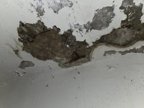 누수탐지 수분 측정과 배관 상태를 함께 점검하는 과정
