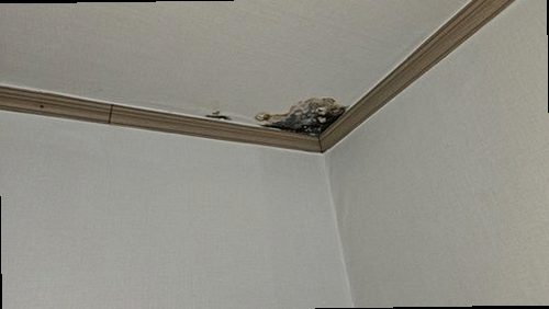 남양주 누수탐지 퇴계원읍 아파트 9층 세탁실 시공 후기 사진