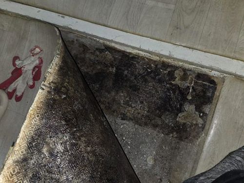 누수탐지 거실 바닥과 벽면 접합부에서 누수 흔적을 확인하는 점검 장면
