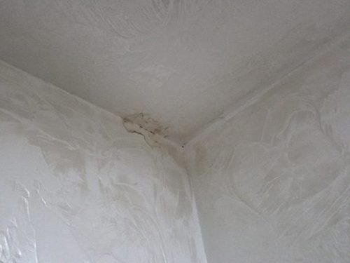 누수탐지 사사동 누수탐지 안방누수흔적 빠른 판별 기준