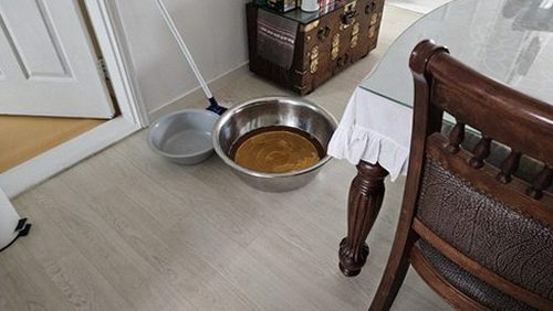 누수탐지 금곡동 누수탐지 아파트 거실 천장 얼룩 전 확인할 것