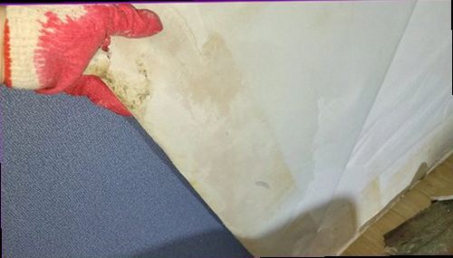 누수탐지 배관 주변 수분 상태를 측정하고 점검 결과를 기록하는 모습
