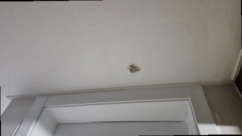 아산시 누수탐지 온양동 다세대주택 3층 복도 벽면 시공 후기 사진